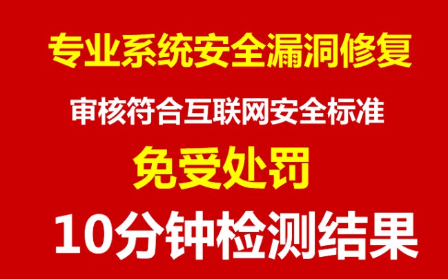 专业系统漏洞修复/网络安全隐患处置 免受处罚